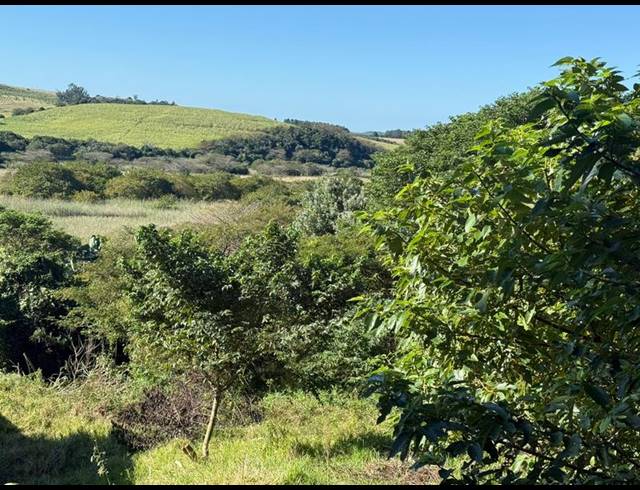 LAND FOR SALE IN ZINI RIVER ESTATE